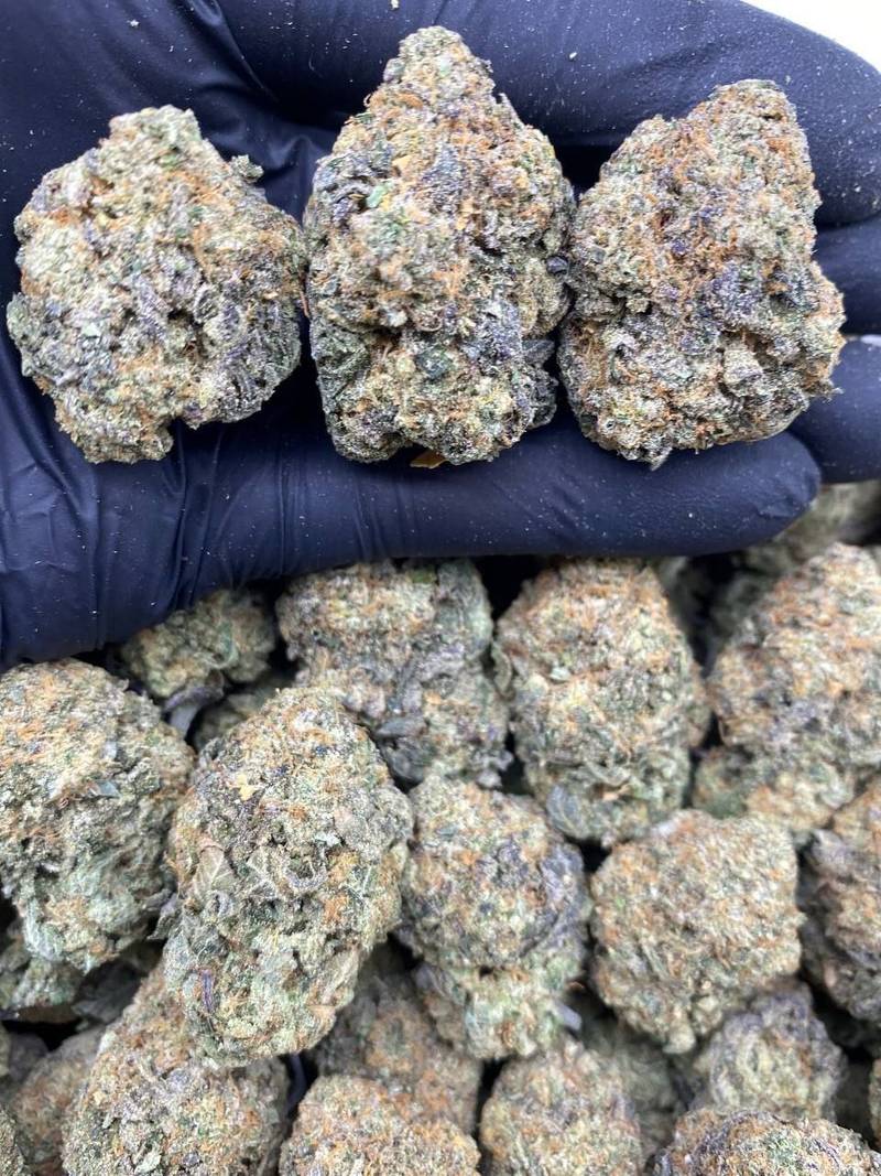 Blue Gelato strain